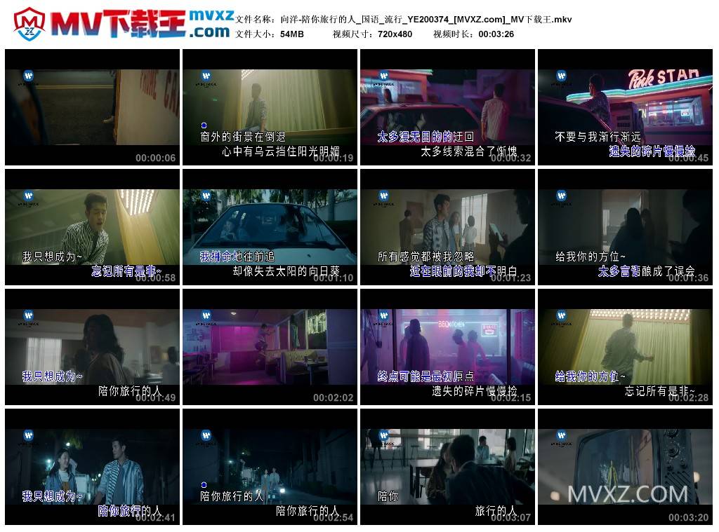 向洋-陪你旅行的人_国语_流行_YE200374